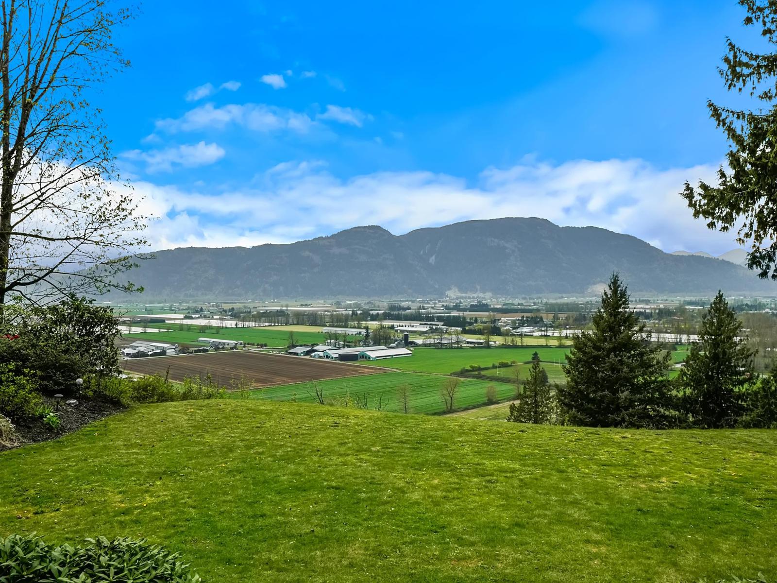 41813 MAJUBA HILL ROAD, Majuba Hill, Yarrow