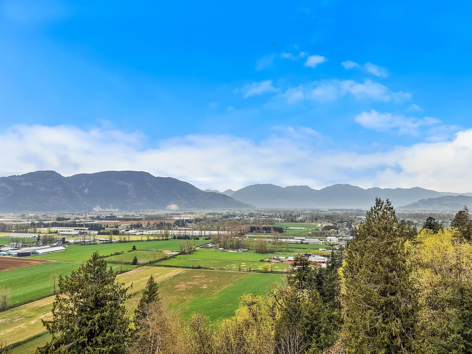 41813 MAJUBA HILL ROAD, Majuba Hill, Yarrow