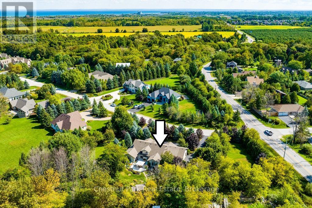 Aerial view of the neighborhood