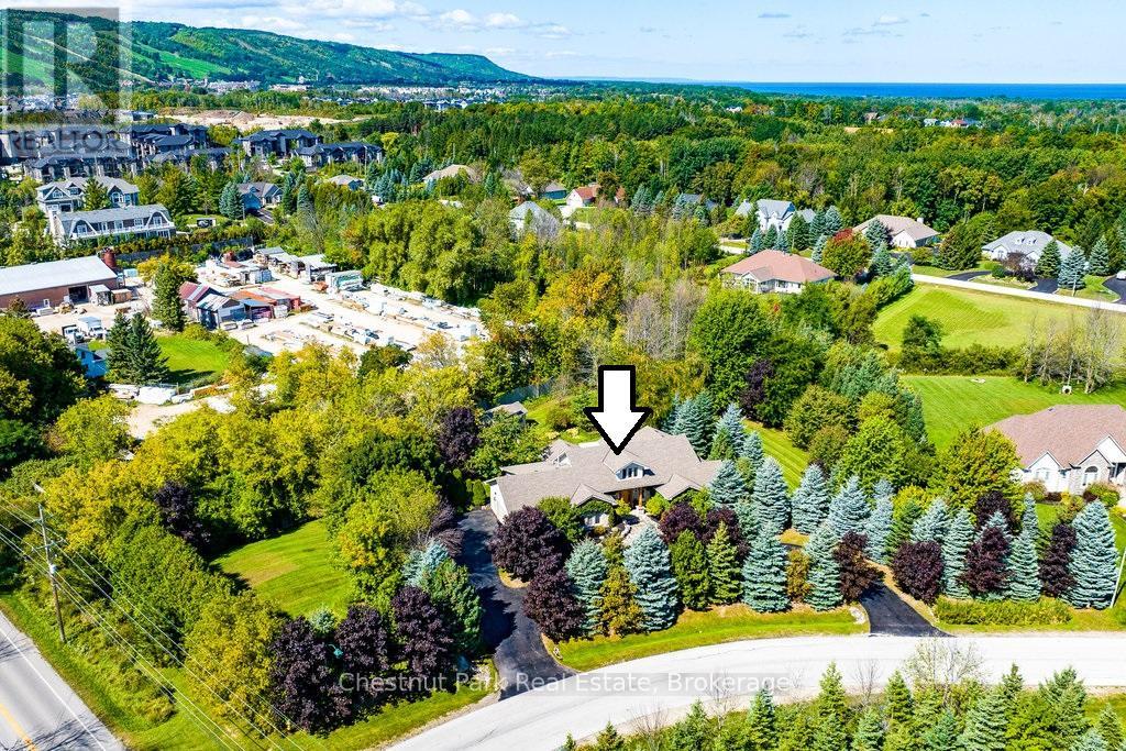 Aeial view of the neighborhood and ski hills