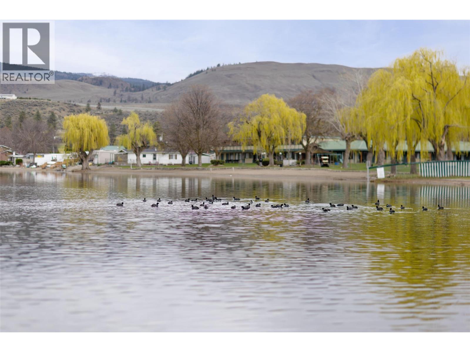 397 Chardonnay Avenue, Oliver