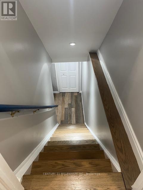 4 MARCHMOUNT CRESCENT — photo 30