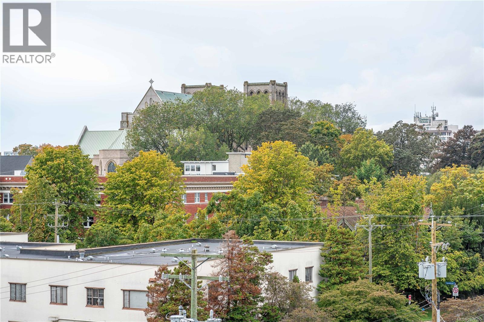 #512 1061 FORT ST - 11