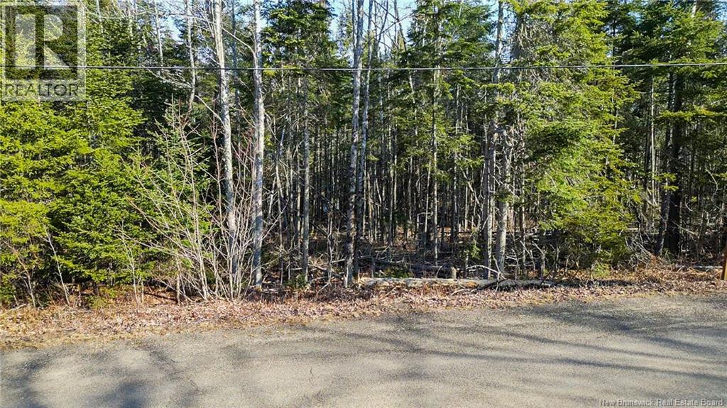98-1 Mast Road — photo 2