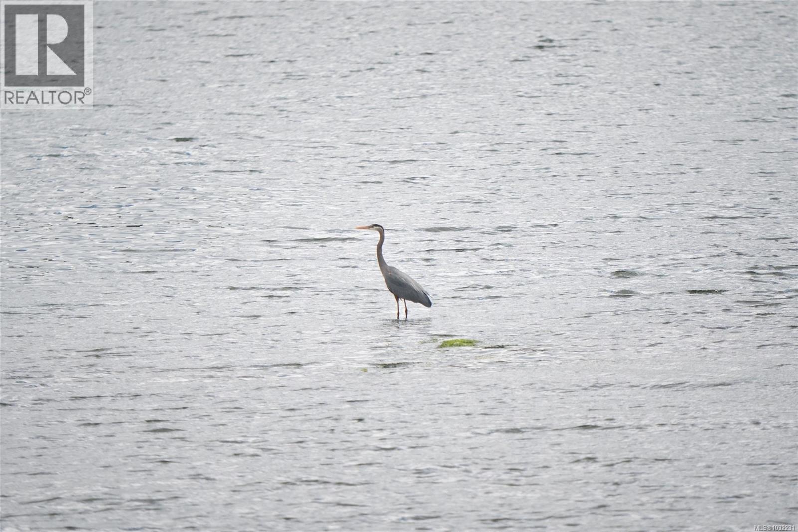 #J10 6145 GENOA BAY RD - 46