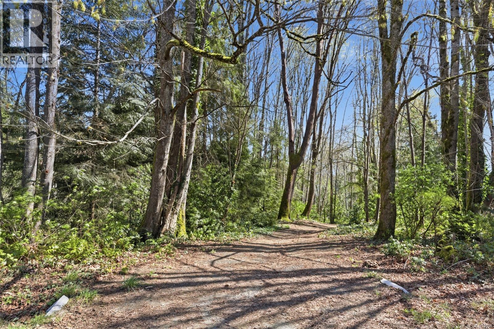 1805 DEERBORNE PL - 23