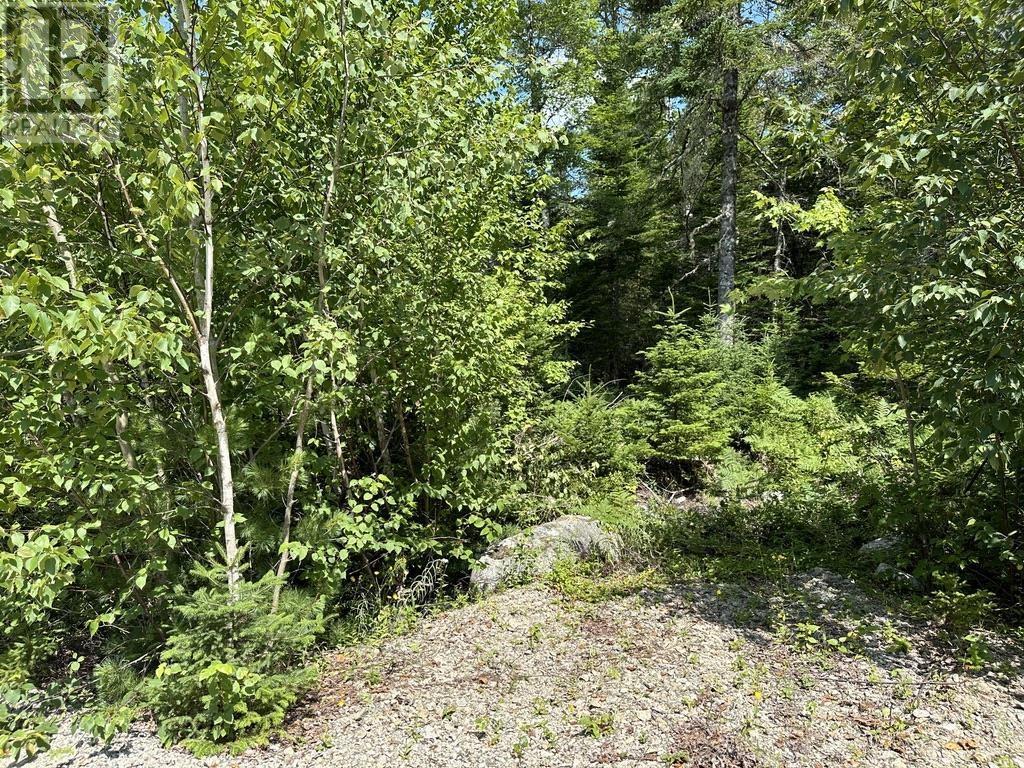 Property 4 of 15 of Lot 21 Highway 14