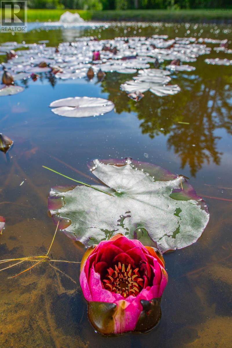 Property 19 of 43 of 532 Saulnierville Road