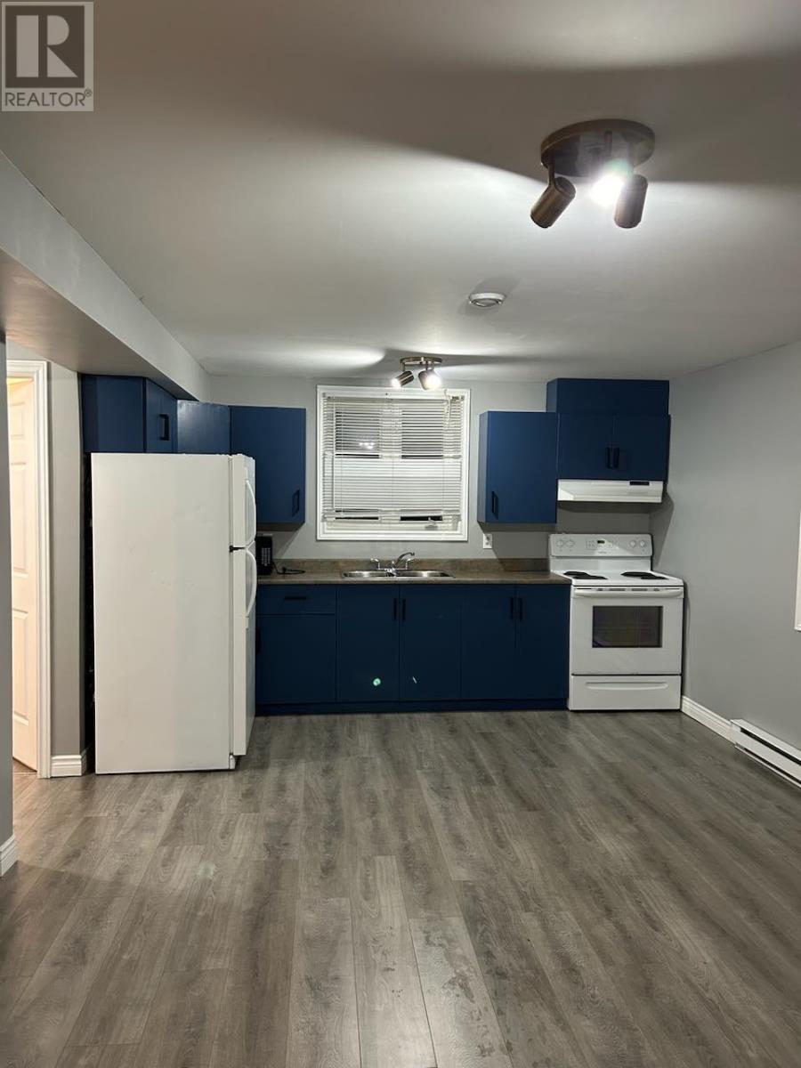 Apartment Kitchen