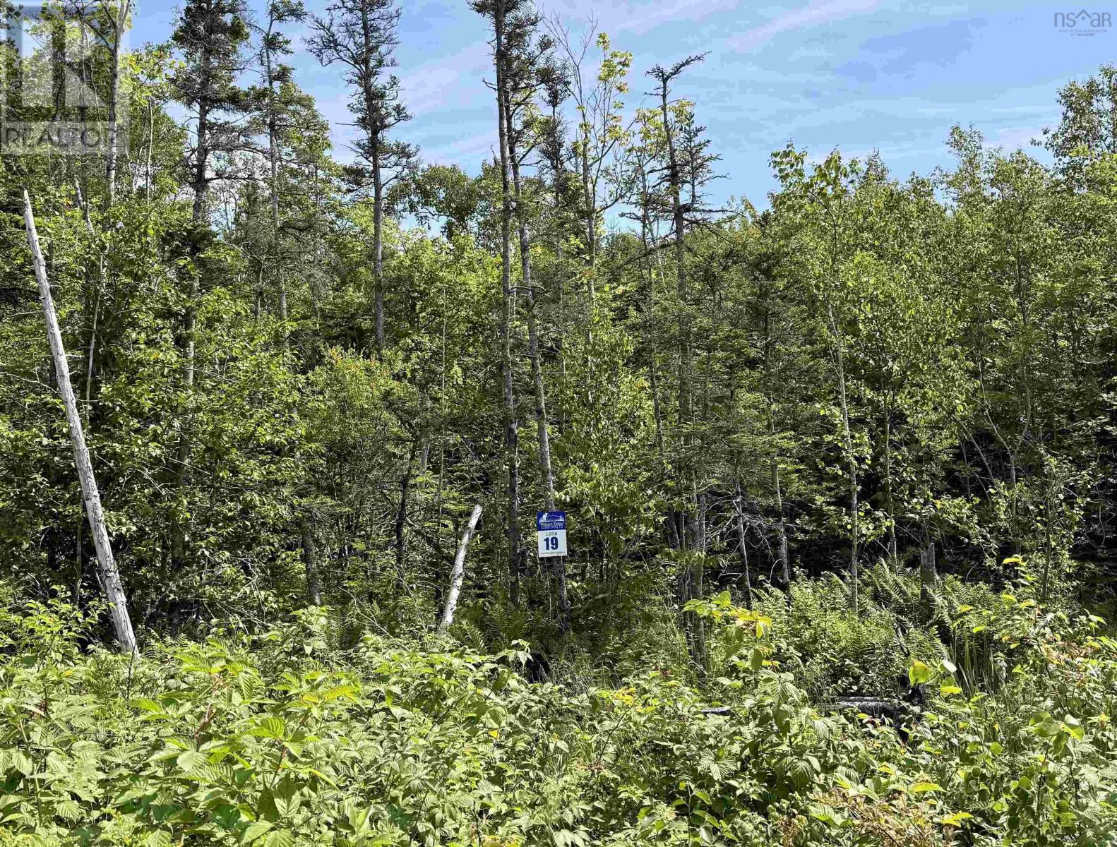 Property 12 of 16 of Lot 19 Pelton Mountain Road