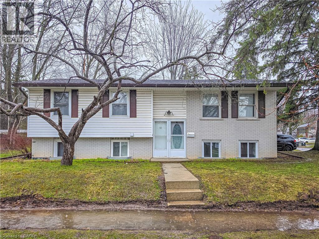 60 AUSTIN DRIVE - 1