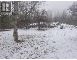 1381 3b Highway, Warfield, BC V1R4L3 Photo 27