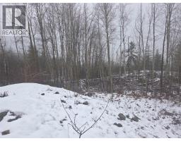 1381 3b Highway, Warfield, BC V1R4L3 Photo 30