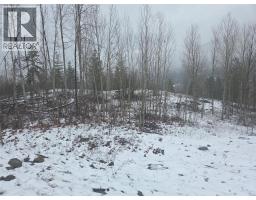 1381 3b Highway, Warfield, BC V1R4L3 Photo 31