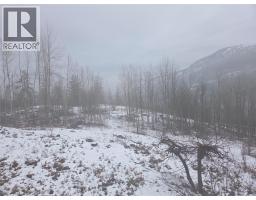 1381 3b Highway, Warfield, BC V1R4L3 Photo 58