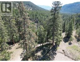 4359 Maxwell Road, Peachland, BC V0H1X3 Photo 10