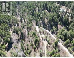 4359 Maxwell Road, Peachland, BC V0H1X3 Photo 13
