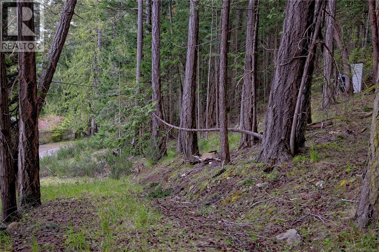 240 Old Scott Rd — photo 20