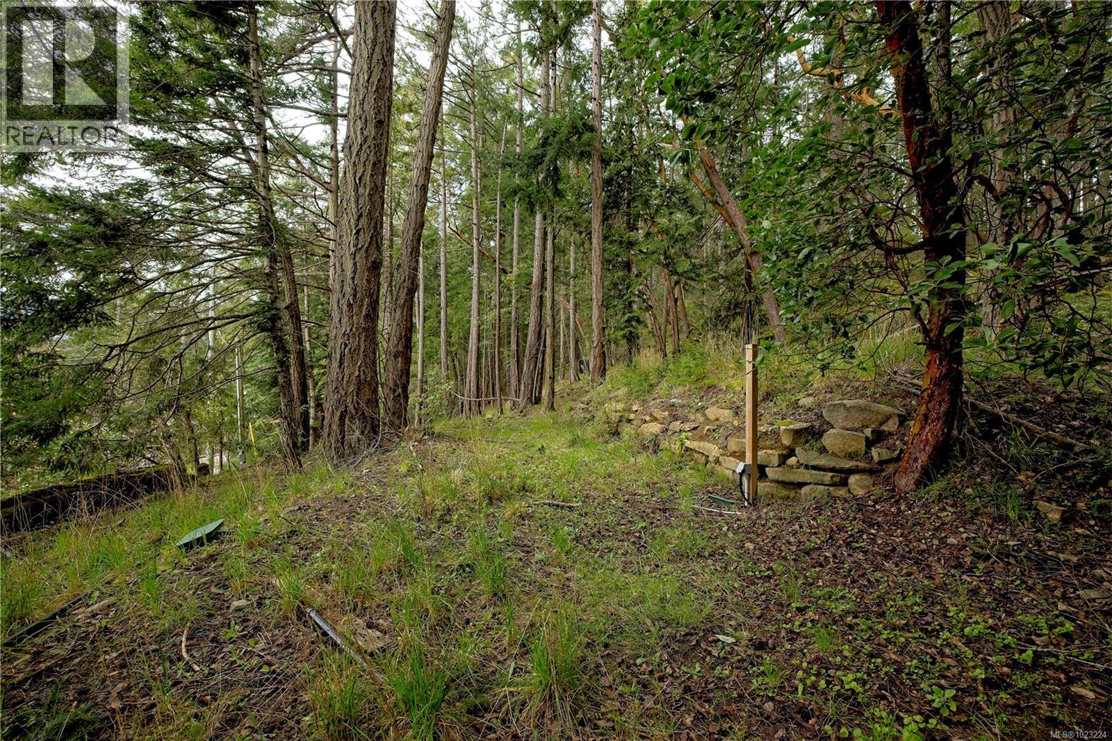 240 Old Scott Rd — photo 22