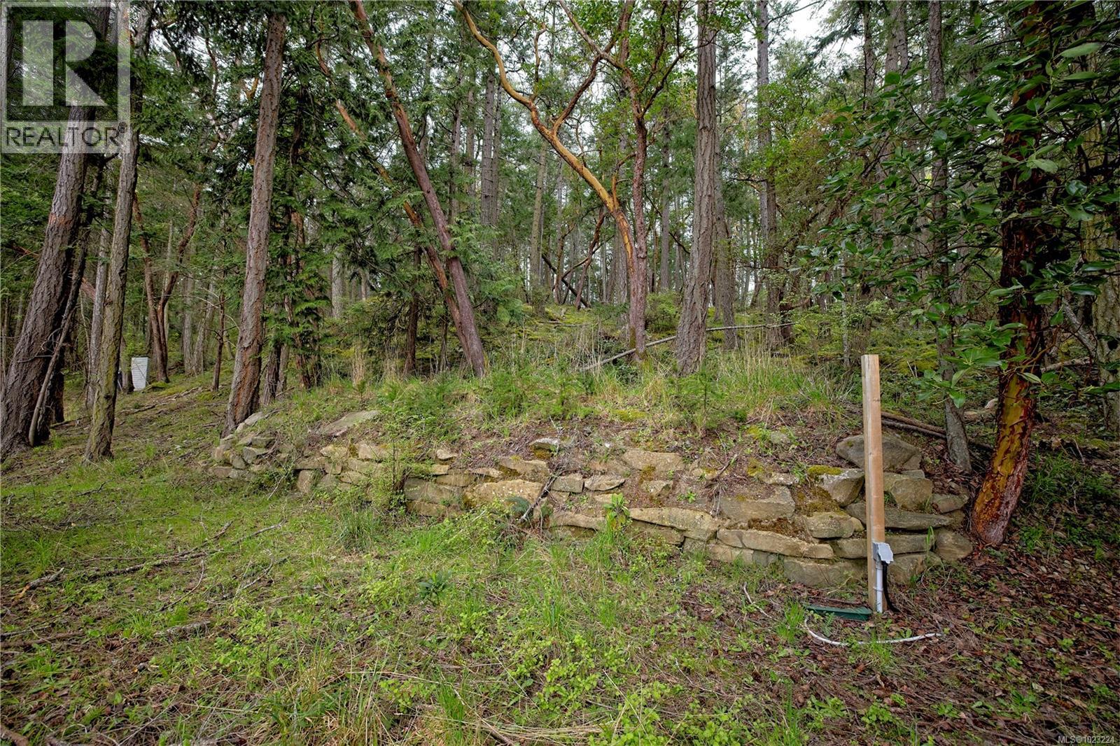 240 Old Scott Rd — photo 23