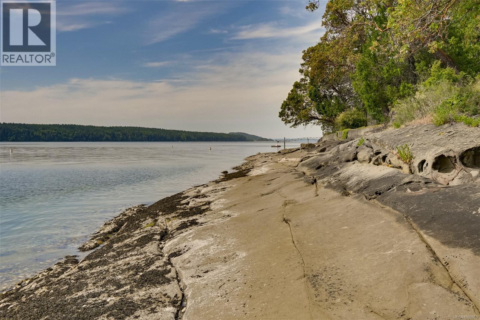 114 Arbutus Rd - 58