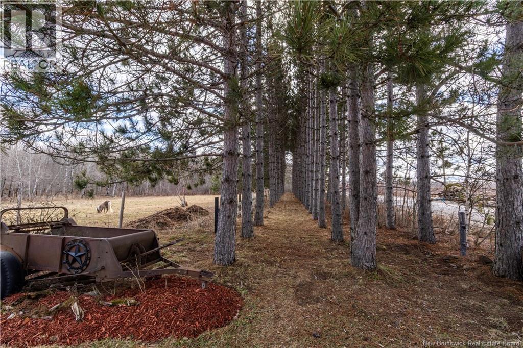 1250 Salmon Creek Road — photo 46