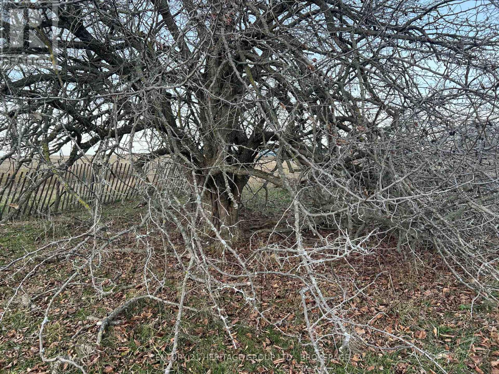 LOT 17 SOUTH SHORE ROAD — photo 22