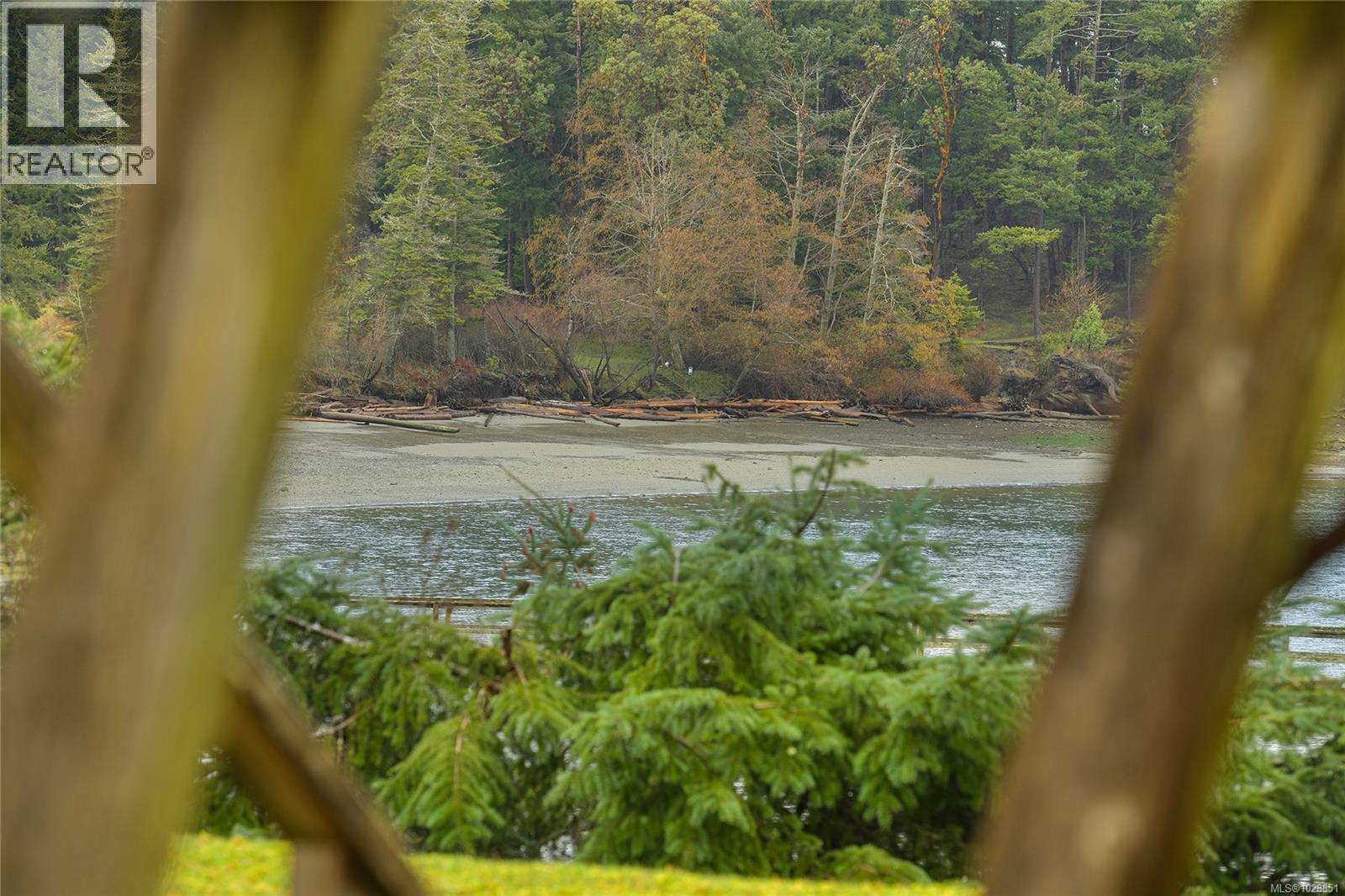 506 Arbutus Dr - 36