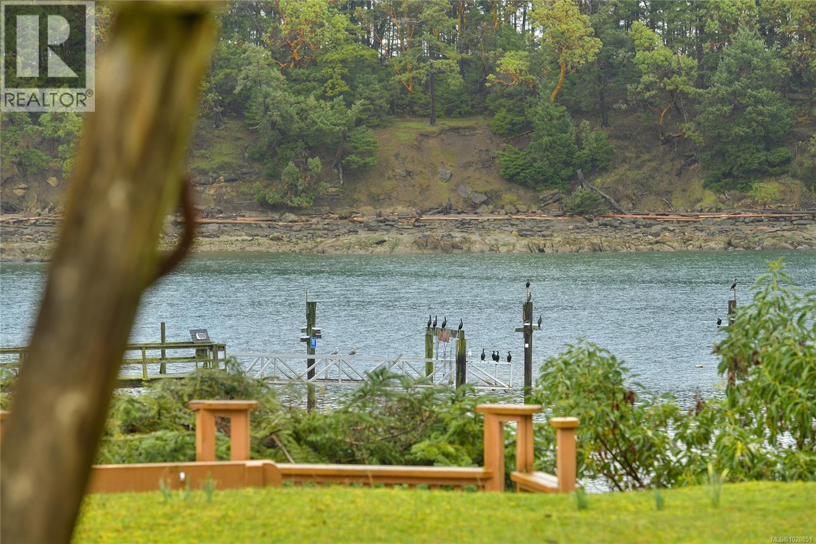 506 Arbutus Dr - 29
