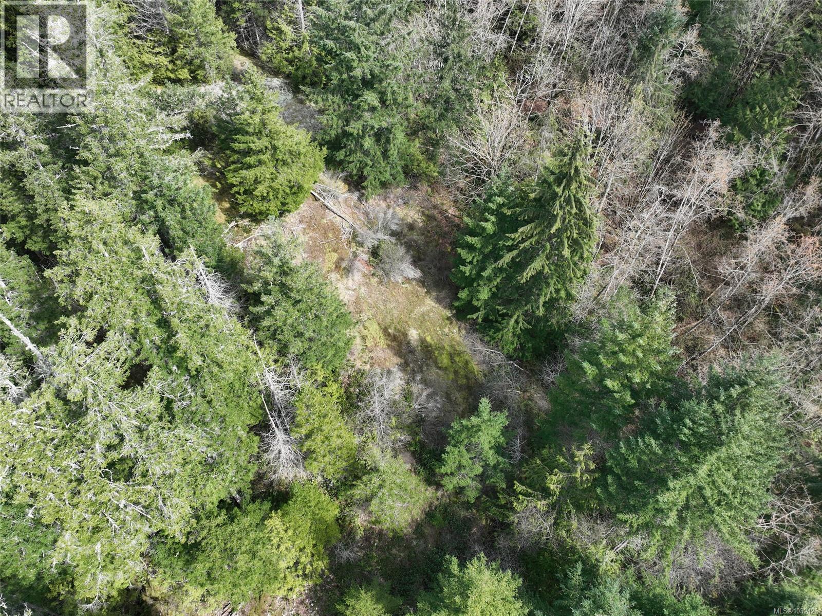 DL363 Read Island — photo 11