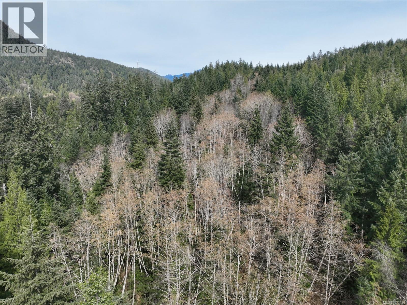 DL363 Read Island — photo 13