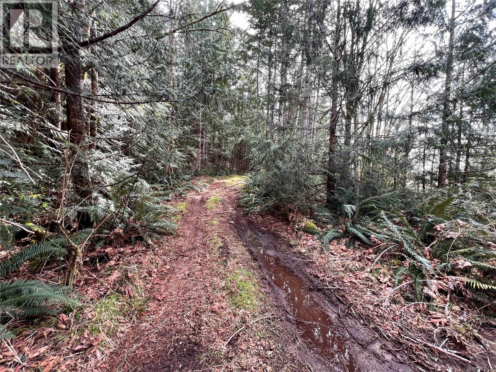 DL363 Read Island — photo 15