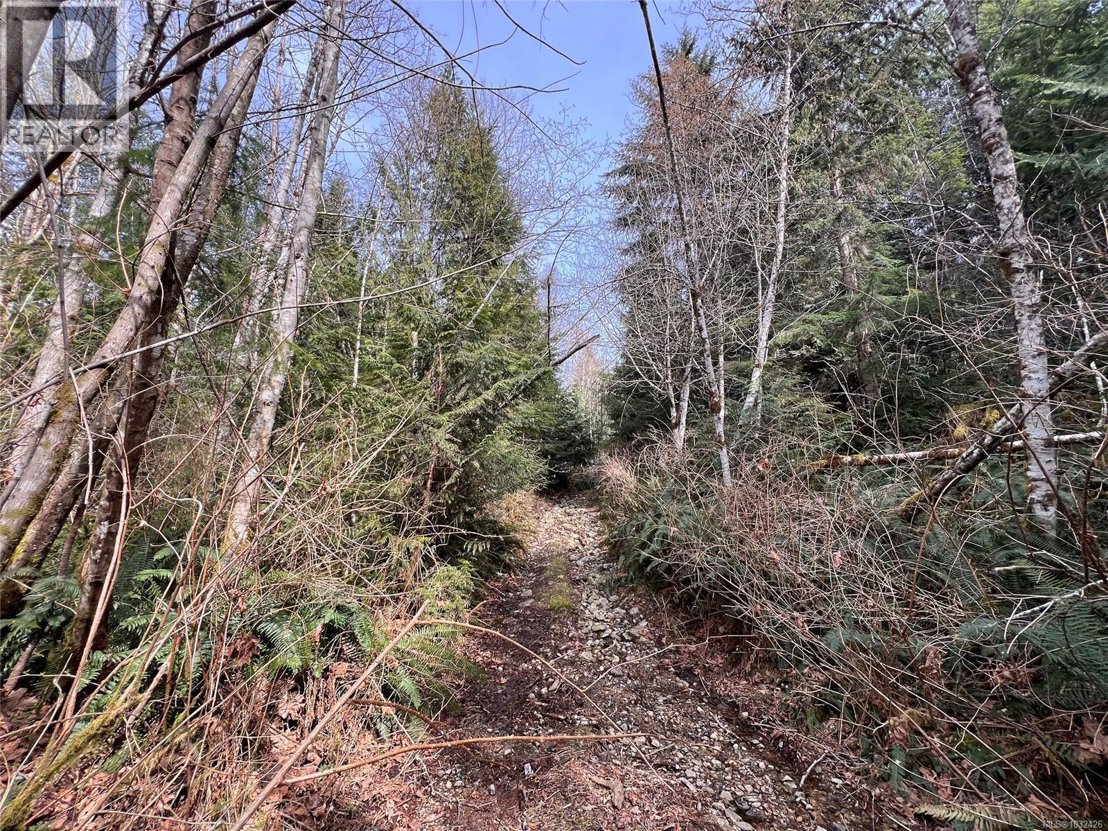 DL363 Read Island — photo 16