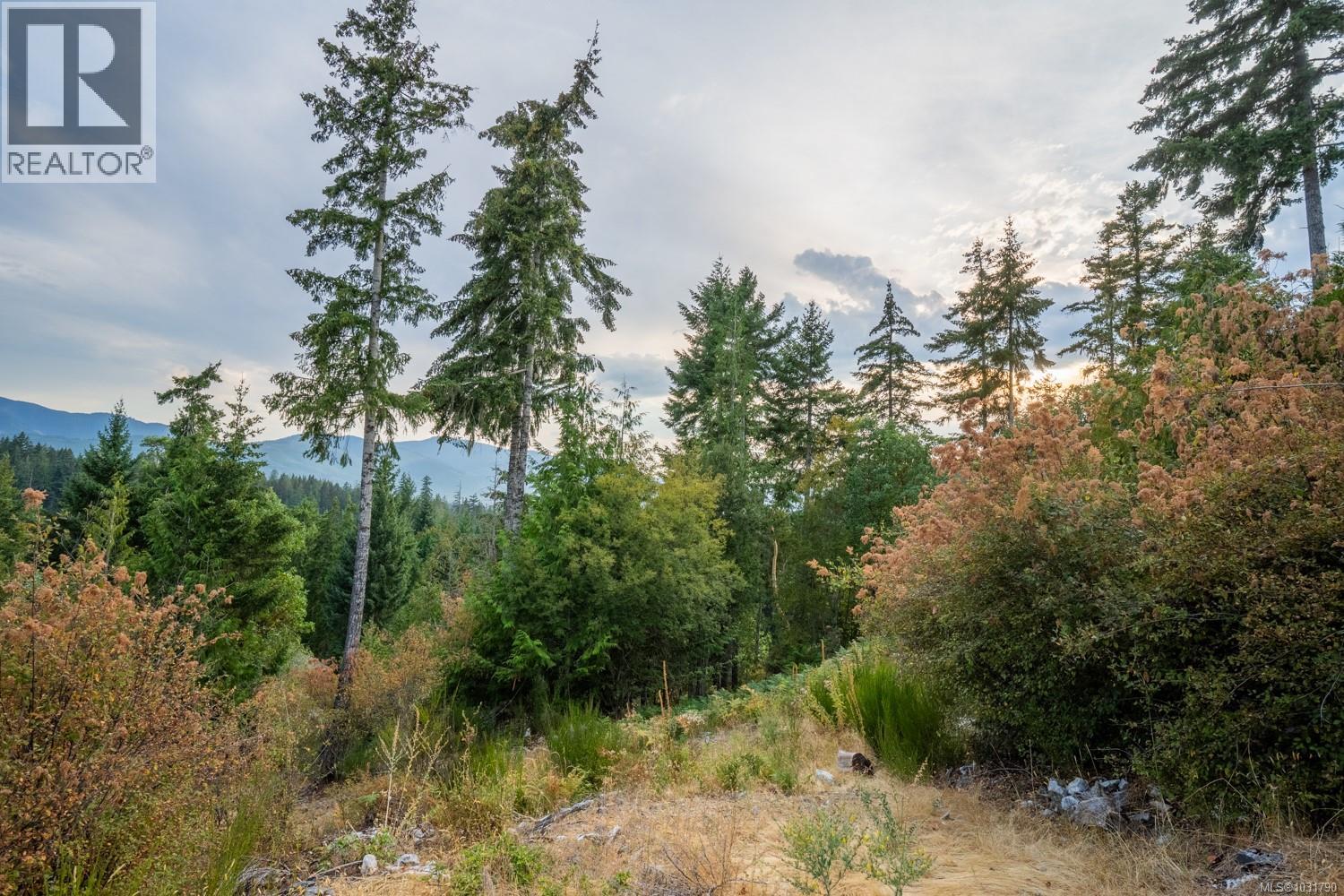 Lot 13 Teal Crt, Lake Cowichan