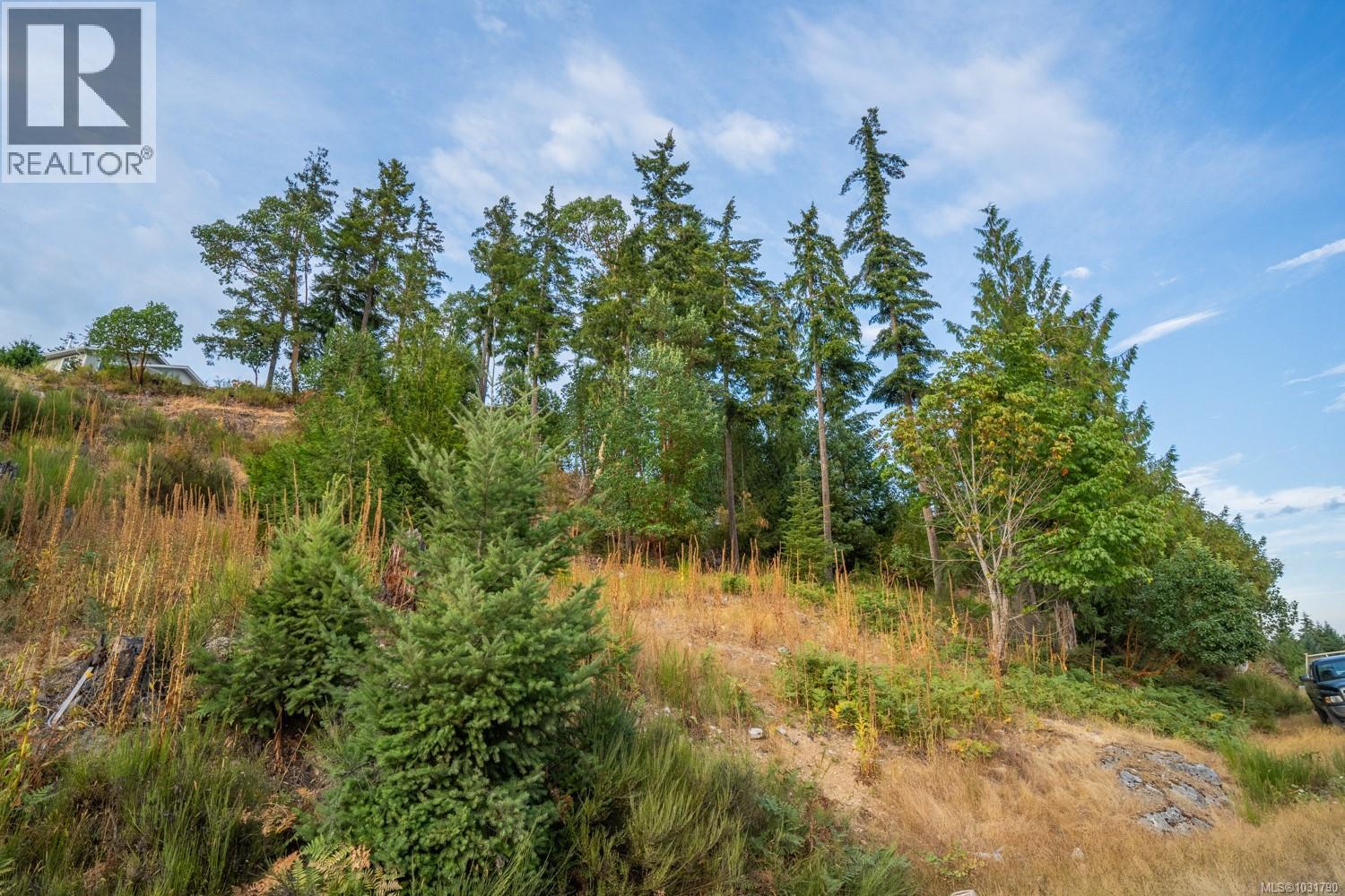 Lot 13 Teal Crt, Lake Cowichan