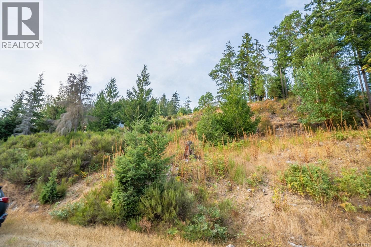 Lot 13 Teal Crt, Lake Cowichan