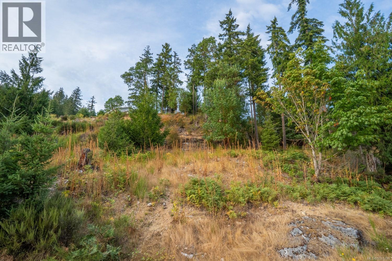 Lot 13 Teal Crt, Lake Cowichan