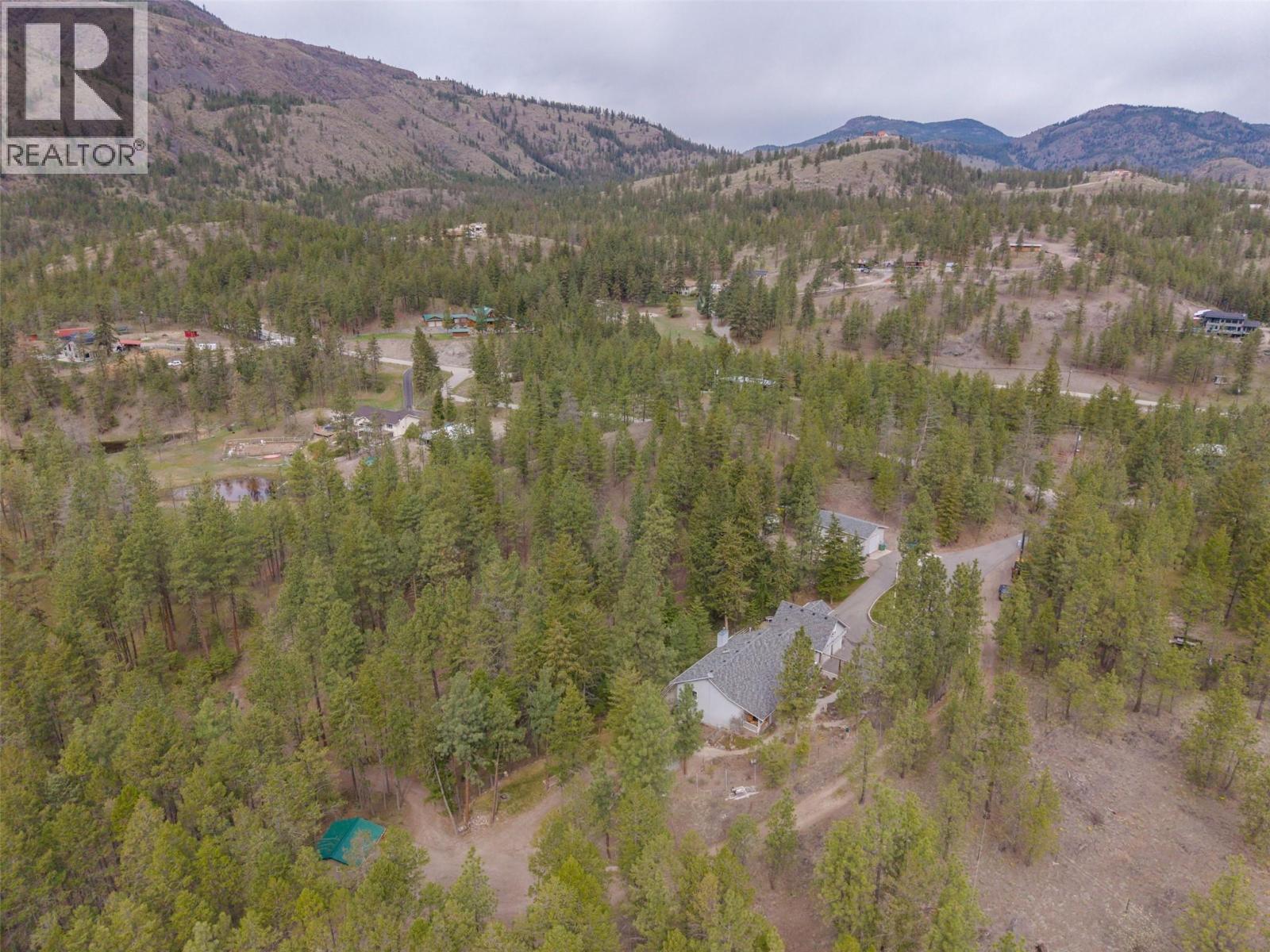 143 SADDLEHORN DRIVE - 8