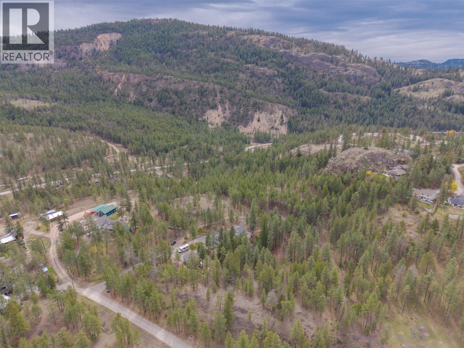 143 SADDLEHORN DRIVE - 4