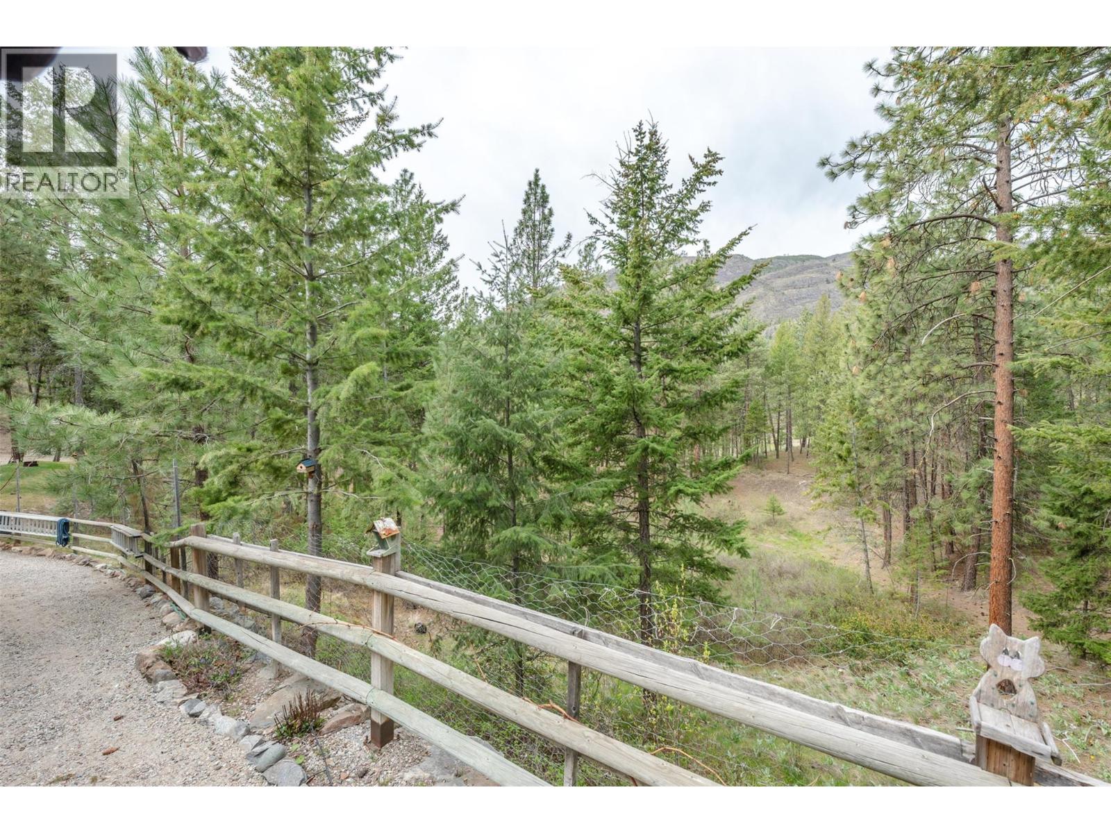 143 SADDLEHORN DRIVE - 32