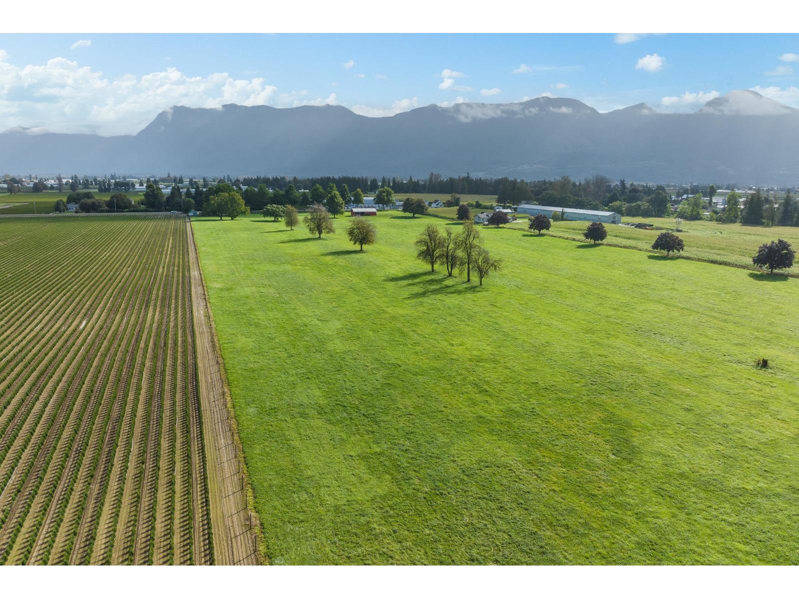 10125 REEVES ROAD, East Chilliwack — photo 17