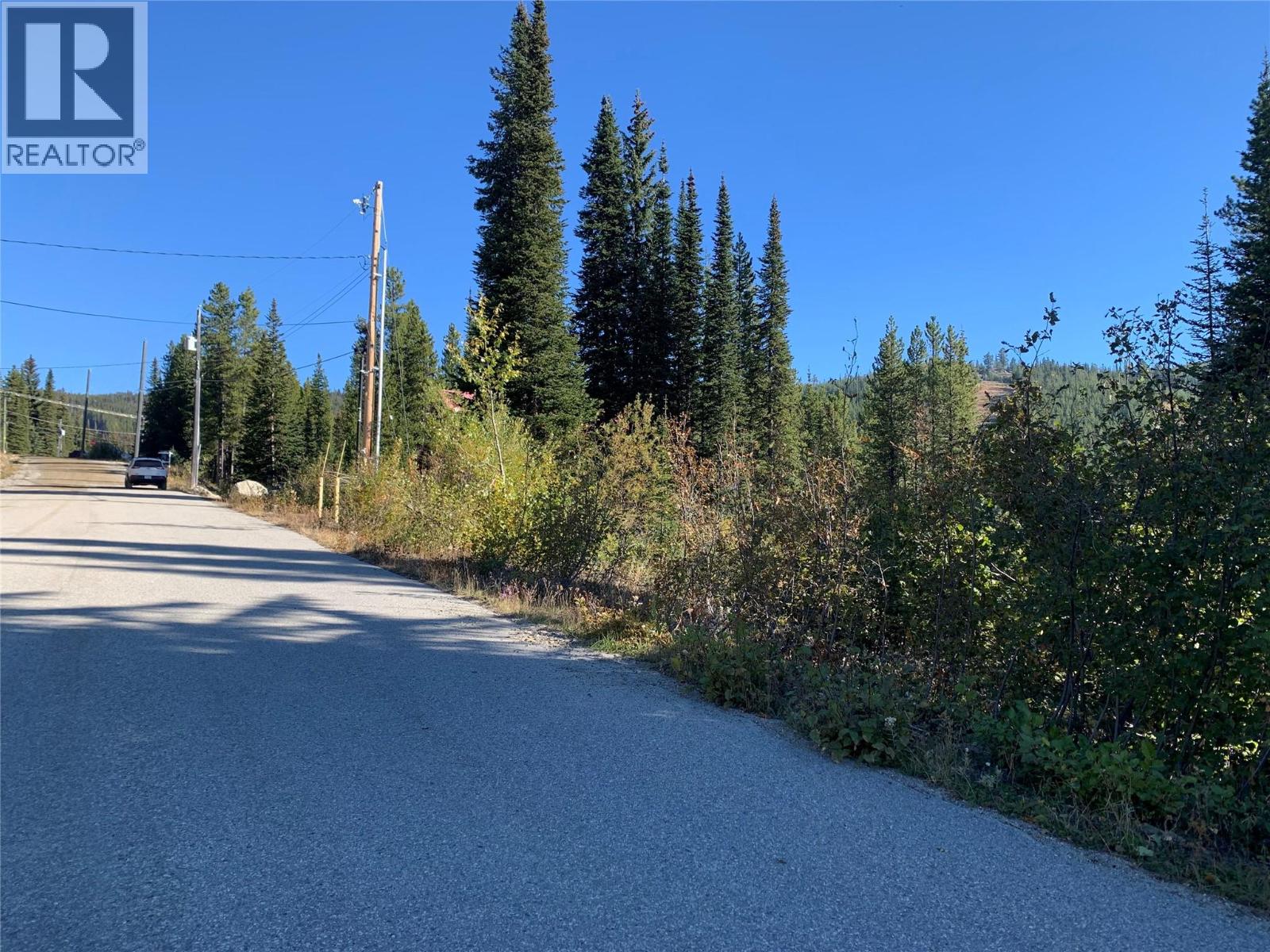 248 WAPITI CREEK ROAD - 4