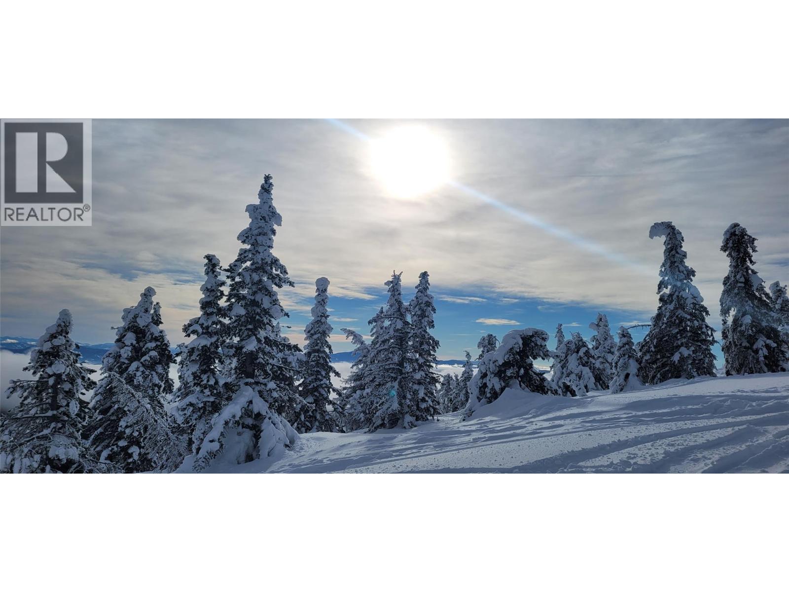 248 WAPITI CREEK ROAD - 8