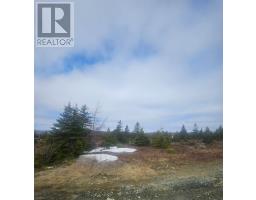 153 Seymours Road thumbnail 4