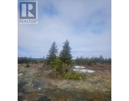 153 Seymours Road thumbnail 6