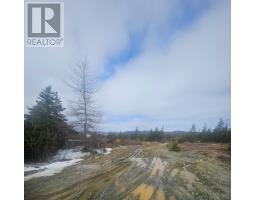 153 Seymours Road thumbnail 7