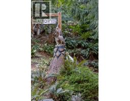 2340 Spring Rd, Campbell River, BC V9W5K8 Photo 79