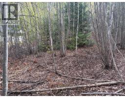 Lot 6 Mcbride Road, Blind Bay, BC V0E1H1 Photo 10