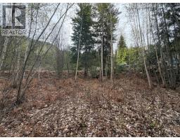 Lot 6 Mcbride Road, Blind Bay, BC V0E1H1 Photo 6