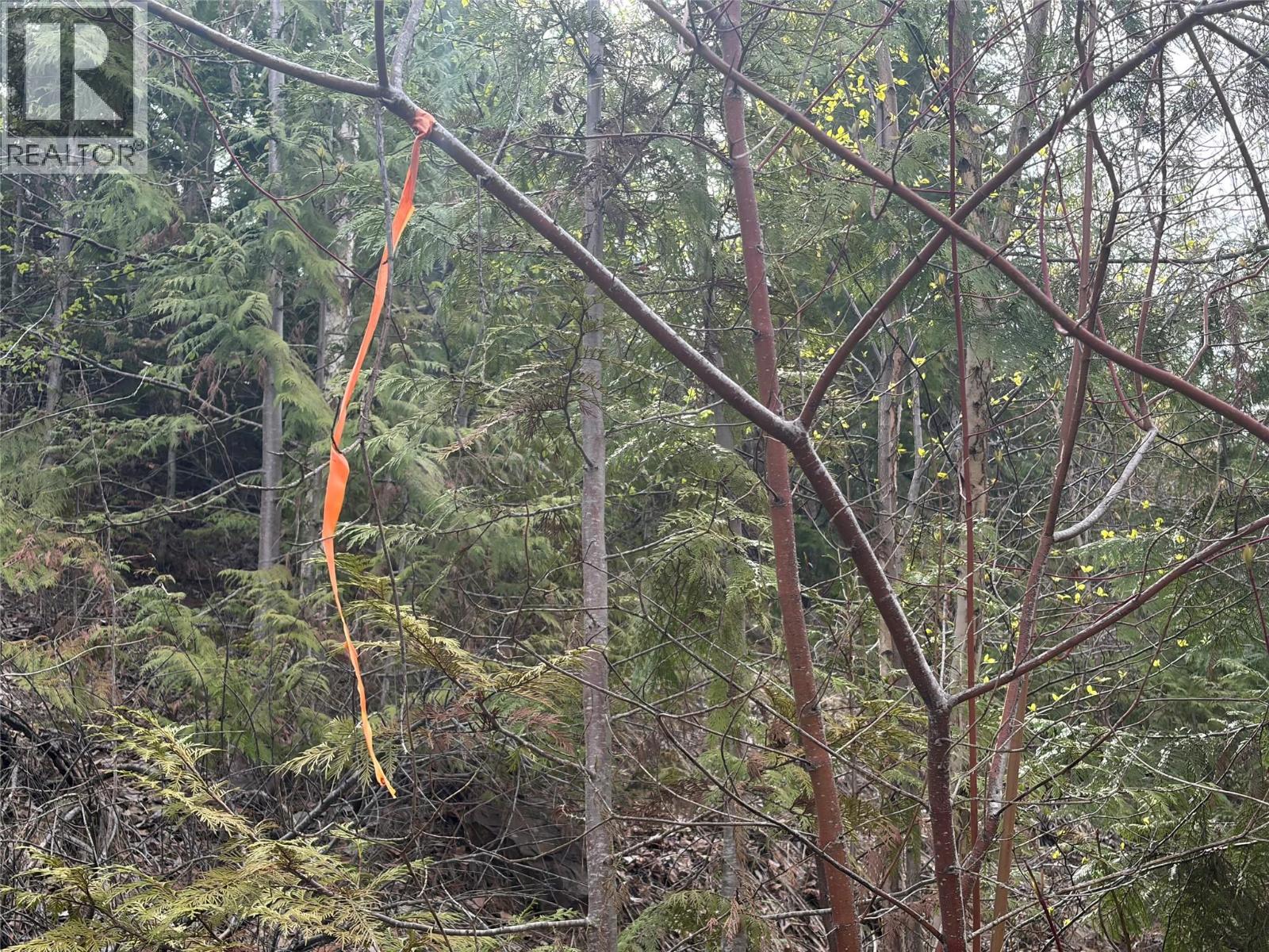  Lot 6 McBride Road, Blind Bay